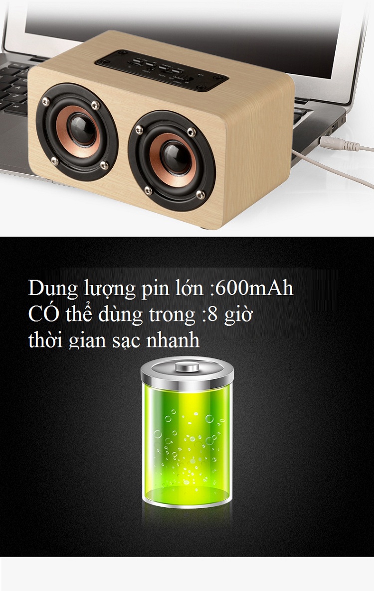Loa Đôi Bluetooth Vân Gỗ Sang Trọng HQ-W5 - Ảnh 8