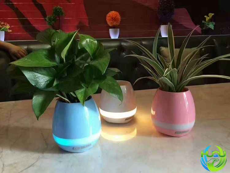 Loa Bluetooth Kiêm Chậu Cây Cảm Ứng Phát Nhạc HQ- K3