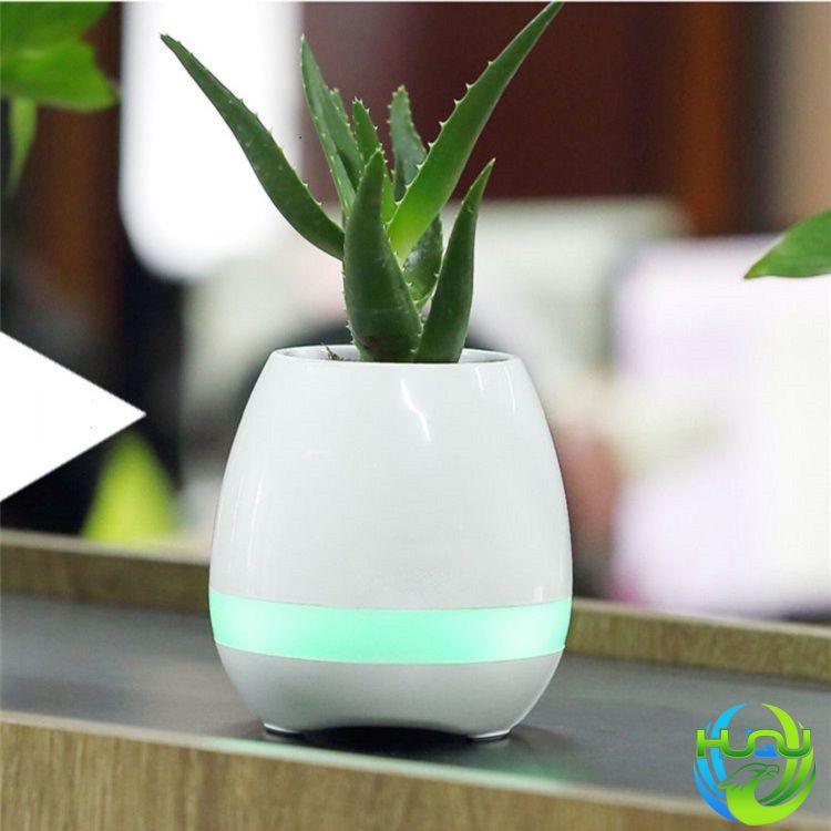 Loa Bluetooth Kiêm Chậu Cây Cảm Ứng Phát Nhạc HQ- K3