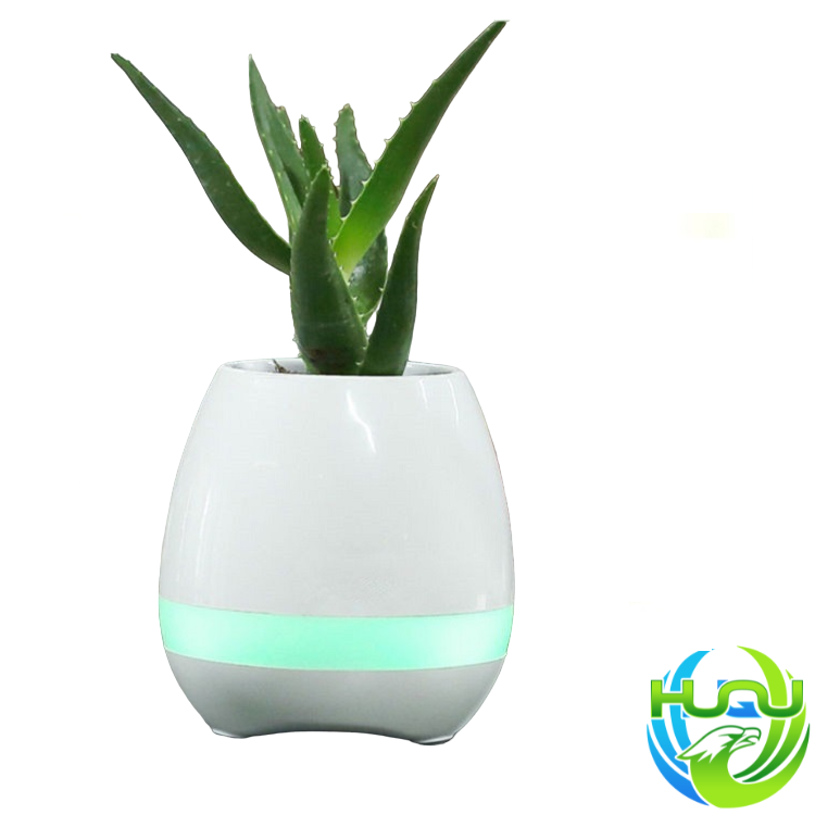 Loa Bluetooth Kiêm Chậu Cây Cảm Ứng Phát Nhạc HQ- K3