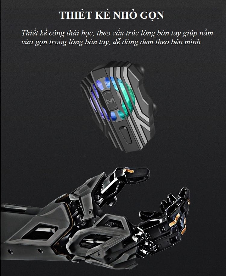 11786056602_239345565